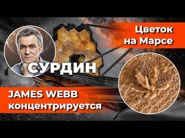 СУРДИН: фото JAMES WEBB, цветы НА МАРСЕ, потери Российской науки. Неземной подкаст