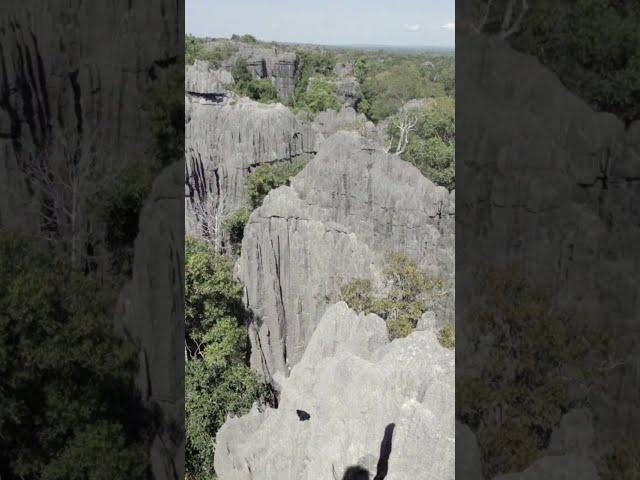 Exploring Tsingy de Bemaraha!