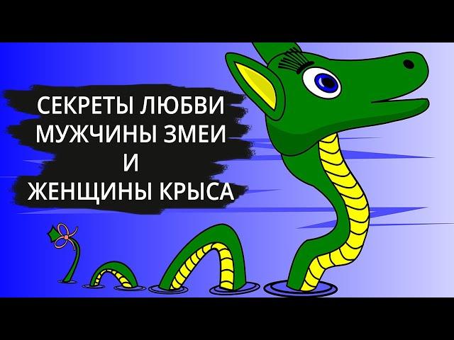 Совместимость мужчина Змея и женщина Крыса