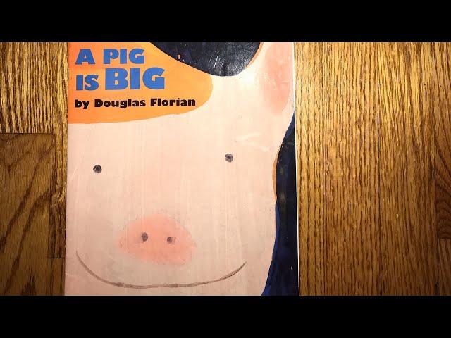 A Pig is Big Read Aloud, Rhyming Book Read Aloud, Distance Learning Read Aloud, Kids Book Read Aloud