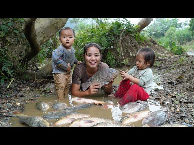 Together with my children, we harvested giant stream fish and brought them to the market to sell