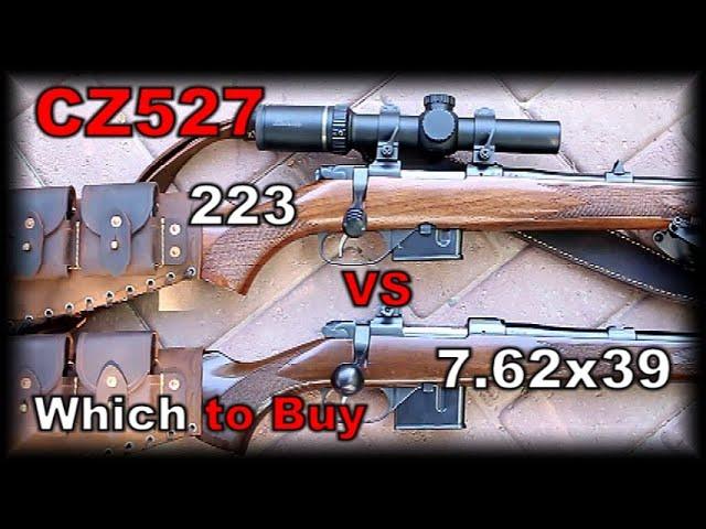 CZ527 762x39 or 223 556 Which to buy