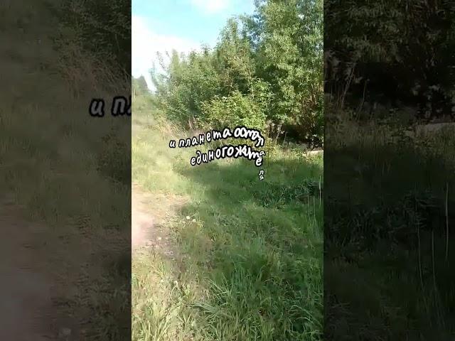 Выживший 2. 1 серия