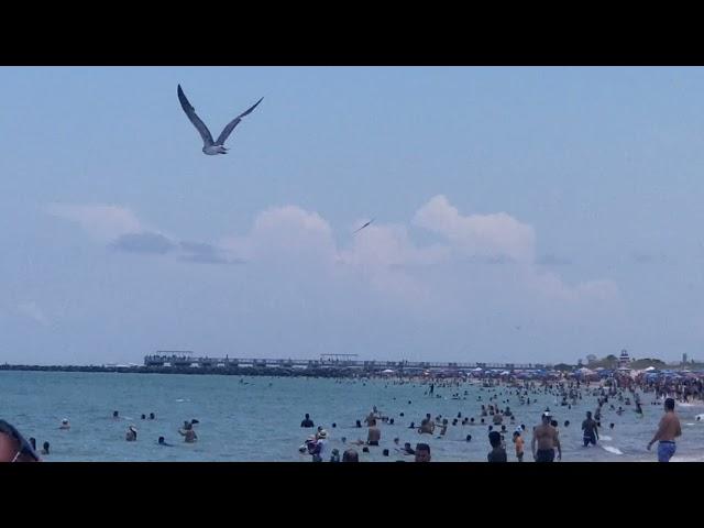 B2 Stealth Bomber flies over Miami Beach (5/30/21)