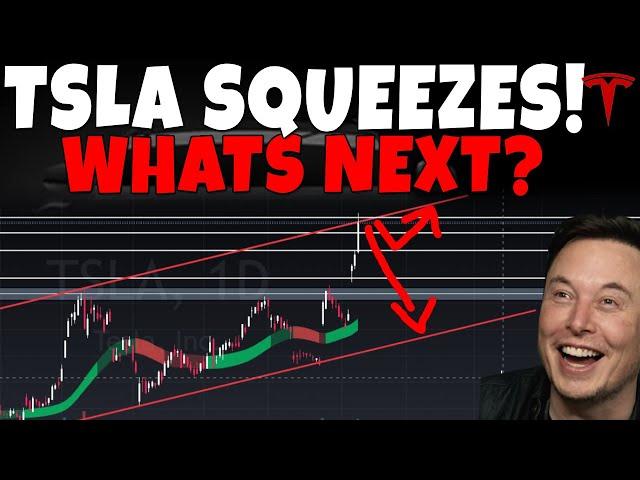 TESLA Stock - TSLA Squeezes 10%!! Whats Happens Next??