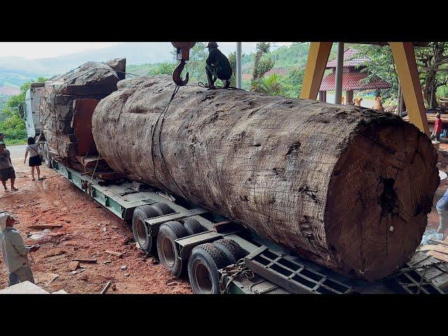 Wood Cutting Skills // Giant Trees Are Processed In The Factory