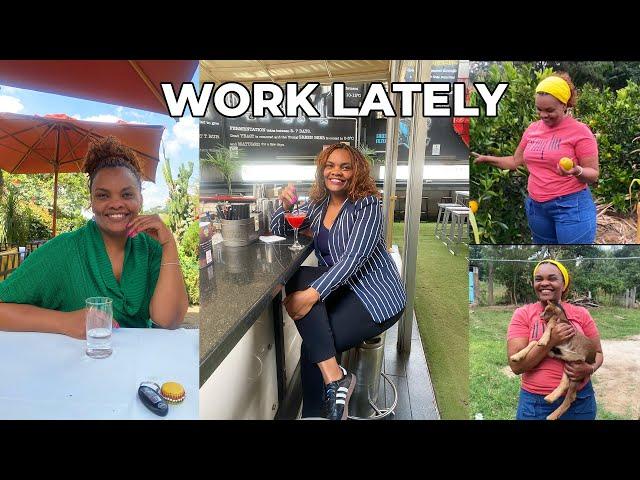 Work Struggles, Farm in Nanyuki, Friend Hangouts & more...