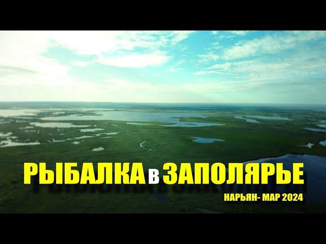 РЫБАЛКА в ЗАПОЛЯРЬЕ. НАРЬЯН-МАР 2024. Часть 1