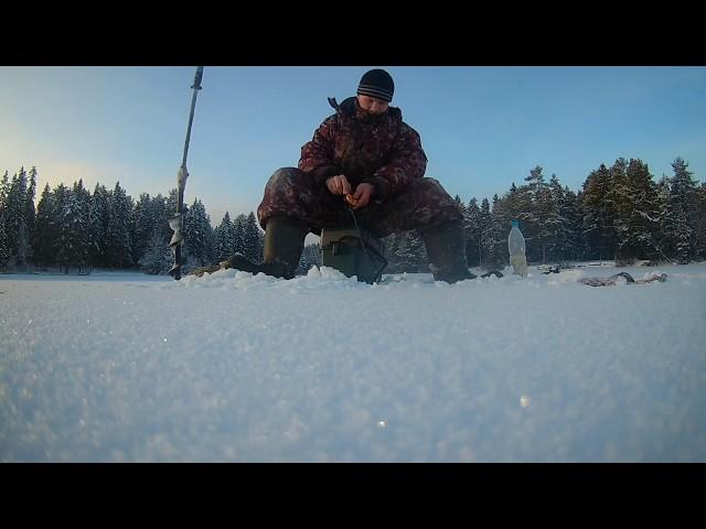 Пытался поймать ершей, а клевал один окунь.