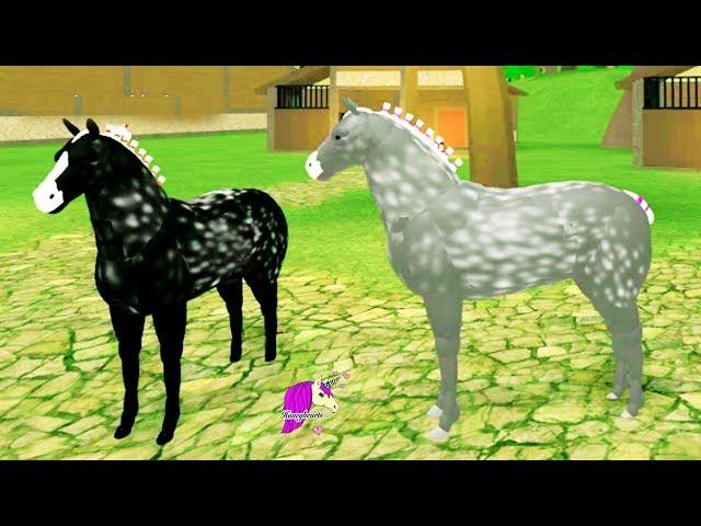 Broken Leg? Horse World New Percheron Horses ! Let's Play Roblox