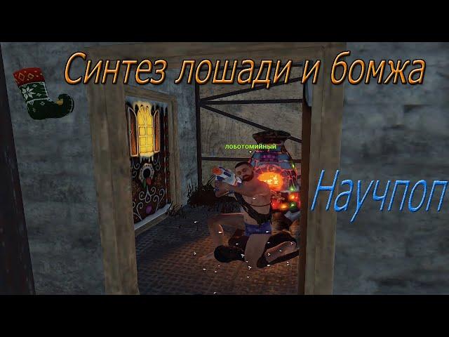 СИНТЕЗ ЛОШАДИ И БОМЖА В RUST(НАУЧПОП)