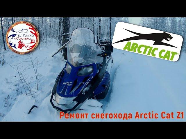 Ремонт снегохода ARCTIC CAT Z1. Повышенный расход топлива. Бензин попадает в масло.