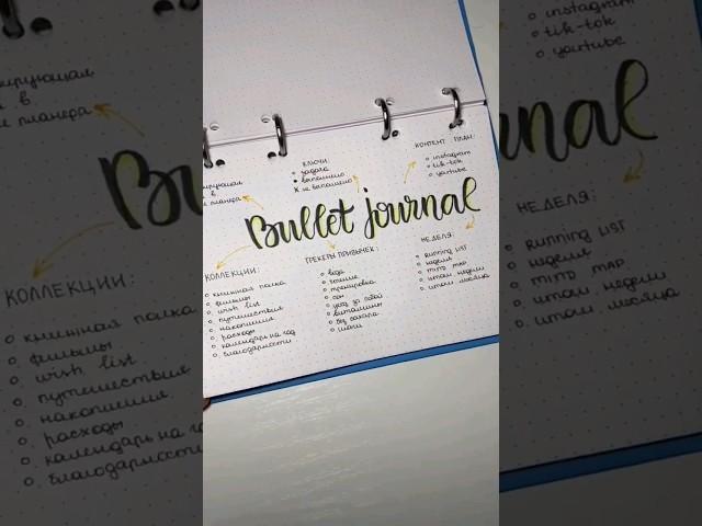 Подробная схема для ведения вашего планера #bulletjournal #ежедневник #планер