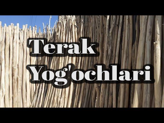 Terak Yog'ochlari | Shahrisabz taxta bozor | 12.08.2021 | Тахта бозор нархлари | Qurulish mollari