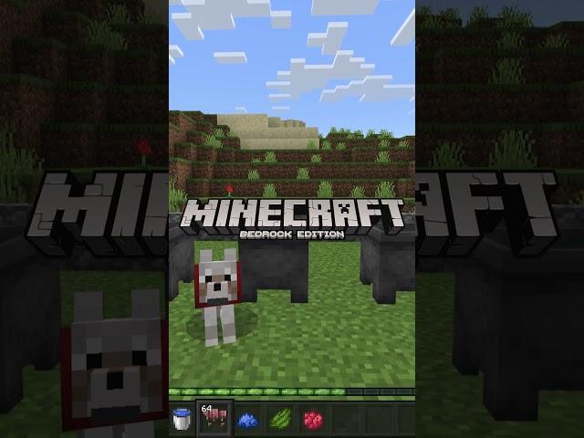 How to DYE WOLF ARMOR in Minecraft #shorts