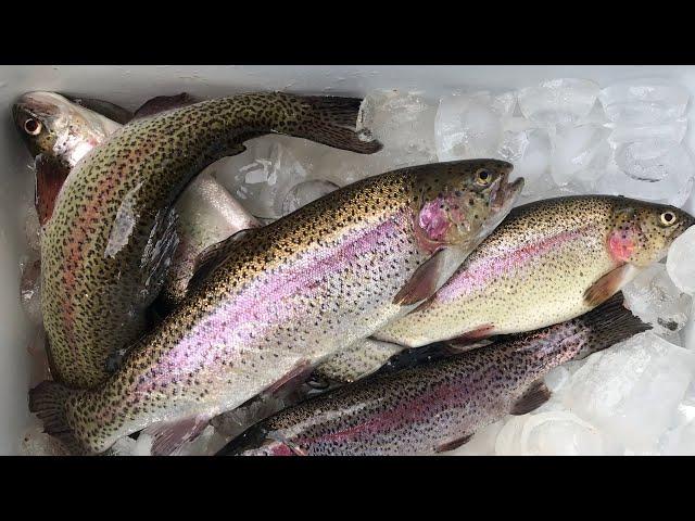 Fishing for three days straight at Glen Haffy Conservation Area