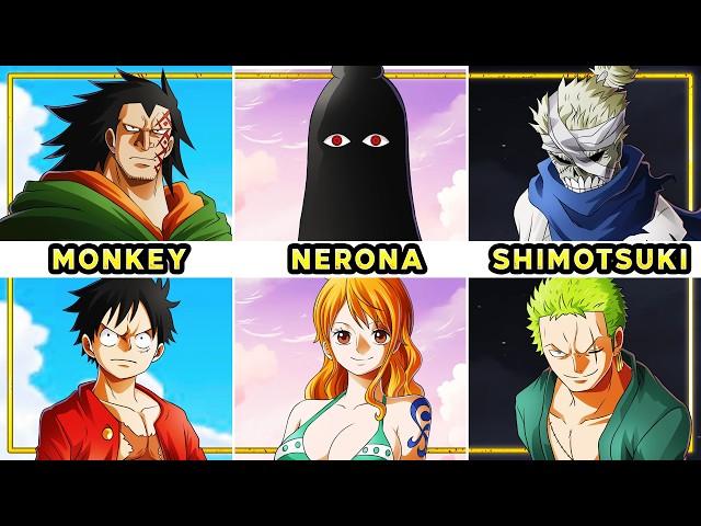 Does Every Straw Hat Have a SPECIAL Lineage?