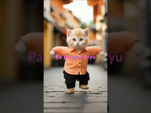 Pa pa piyu piyu billi cute dance #trending # catdance #cat #billidance