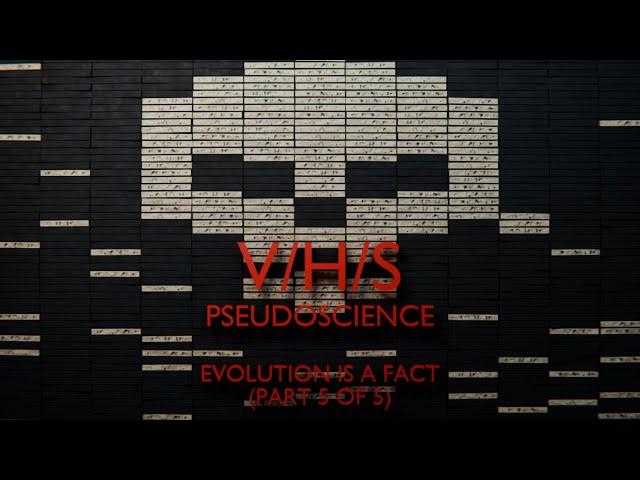 V/H/S Pseudoscience | Evolution Is a Fact (Part 5 of 5)