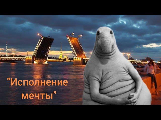 Мой фильм под названием "Исполнение мечты"