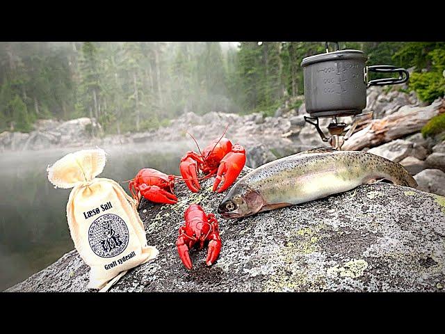 MOUNTAIN Crawdad & Trout Fishing! EPIC Catch & Cook!!!