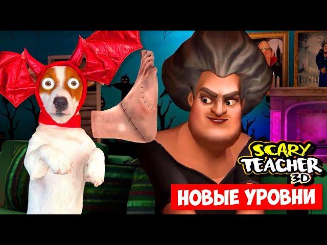 Злая Училка  Хэллоуин 2023    Scary Teacher 3d