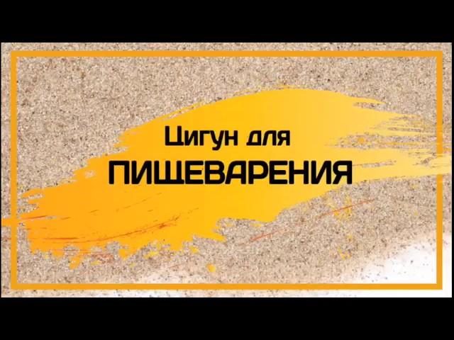 Ли Холден. Полный курс. Урок 3: Цигун для пищеварения