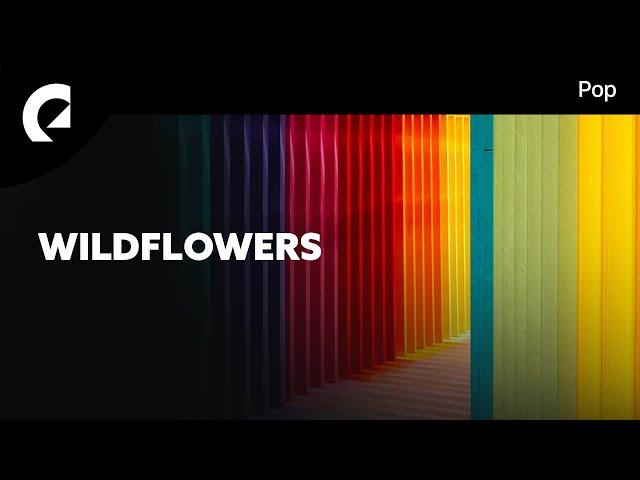 Wildflowers feat. Sarah Pumphrey - I Get a Little Starstruck