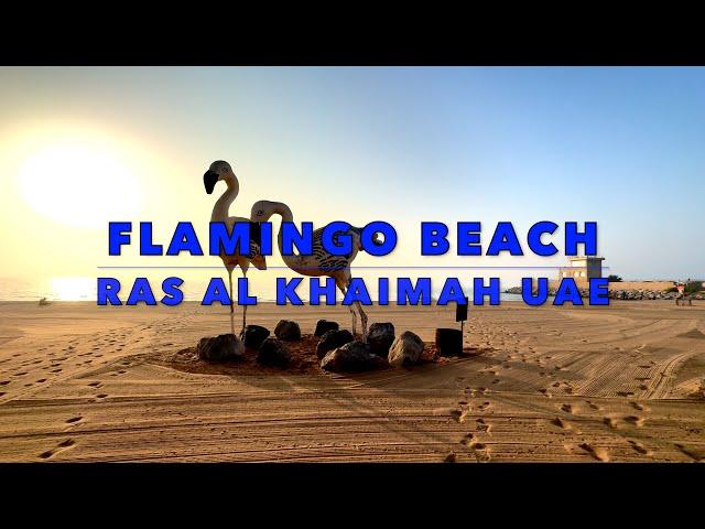 Flamingo Beach Ras Al Khaimah UAE