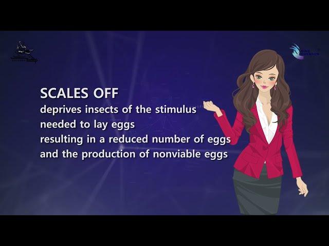 How to control scale insects? Get Rid of SCALE Insects，Against Scale Insects, SCALES OFF