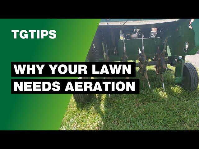 Why is Lawn Aeration Important in The Autumn? | Lawn Care Tips