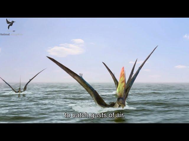 Tapejara: The Pterosaur who could not only fly but also swim well like a swan | Flying Monsters 3D