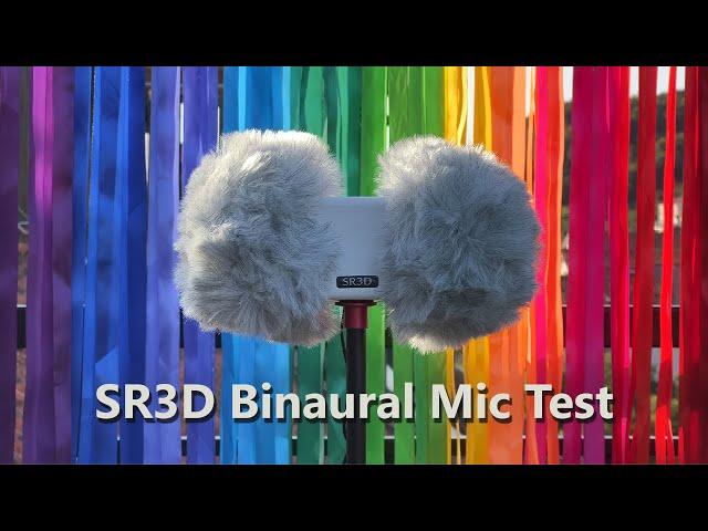 SR3D Binaural Microphone Test | Audio With Intelligence Limited (UK)