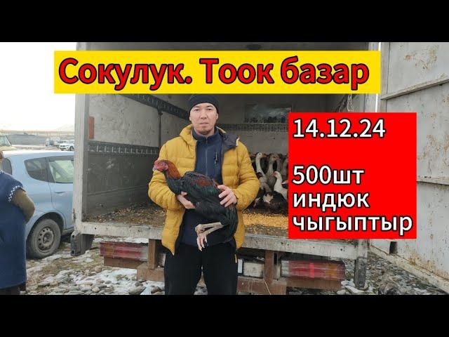 тоок базар. Сокулук 15.12.24