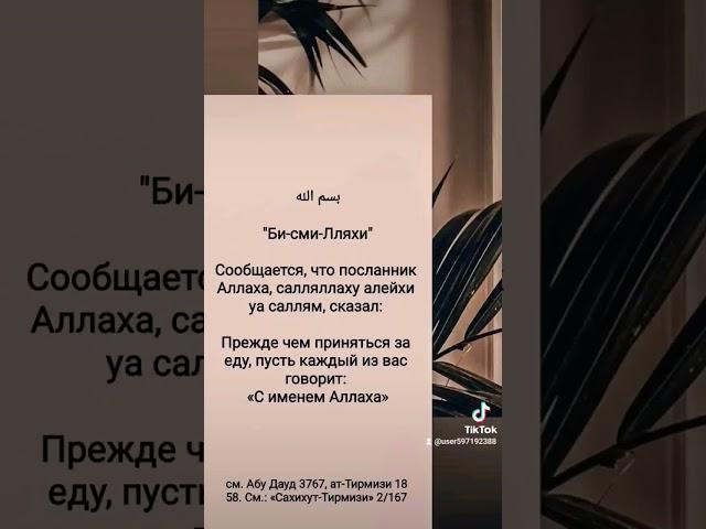 #знания #ислам #islam #иман #счастье #хадис #вера #коран #сунна #жизнь #бисмиллях #благиеслова#слова