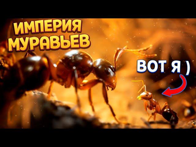 ИМПЕРИЯ МУРАВЬЕВ ( Empire of the Ants )