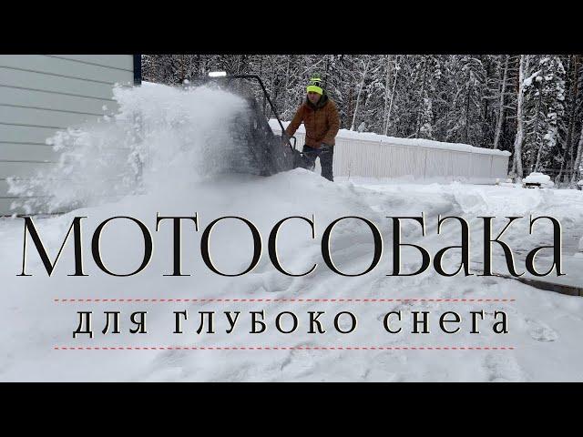 Снегоход для бедных. Мотобуксировщик для глубокого снега.