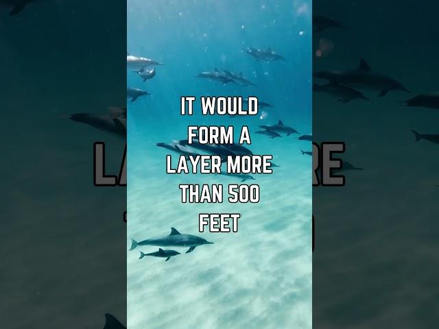 Ocean's Salty Secret: Diving Deep into the Sea's Salinity Saga!  #shorts