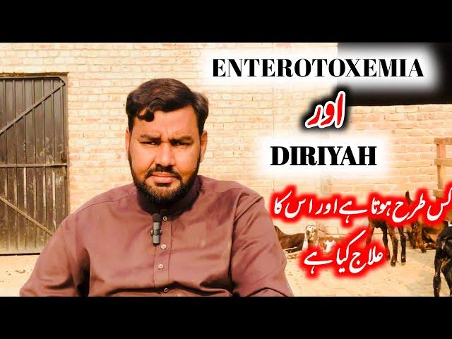 E.T.V or DIRIYAH symptoms + Treatment // ustad farhan gujjar