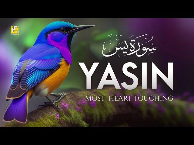 Surah Yasin (Yaseen) سورة يس | Beautiful voice heart touching | Zikrullah TV