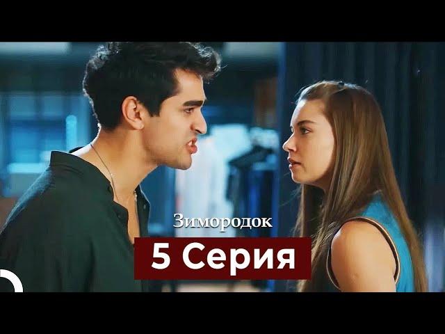 Зимородок 5 Cерия (Русский дубляж)