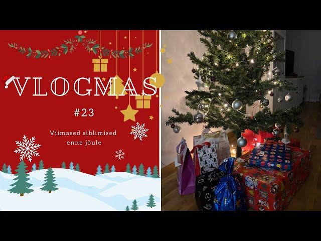 Viimased siblimised enne jõule&reisi | VLOGMAS 