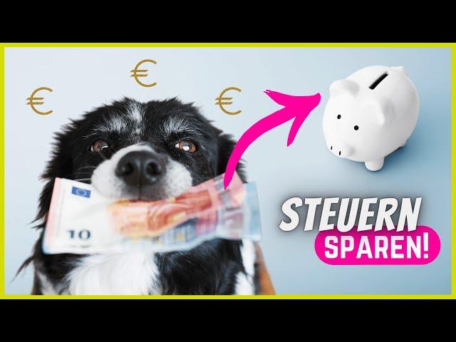 Steuererklärung mit Hund - Diese Dinge kannst du absetzen!