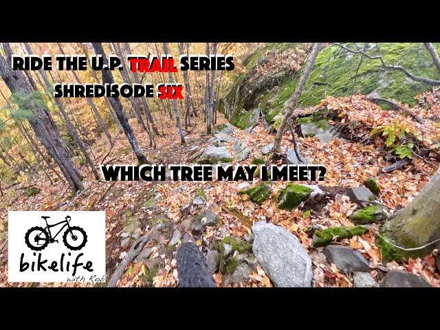 Ride the U.P. Trail Series - So Much Speed and Flow on Sweet Pine - Shredisode 6