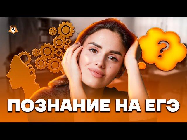 Познание | Обществознание ЕГЭ 2023 | Умскул