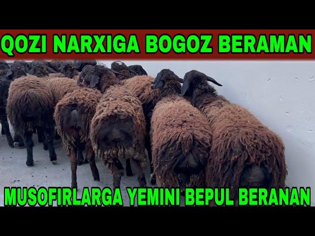 MUSOFIRLARGA YEMINI BEPUL BERAMAN QOZI NARXIGA BOGOZ BERAMAN