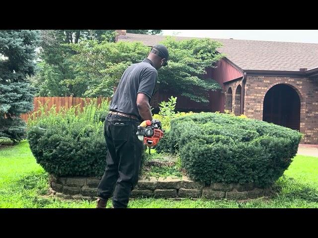 Overgrown Hedgetrimming Echo SRM MID REACH ATTACHMENT