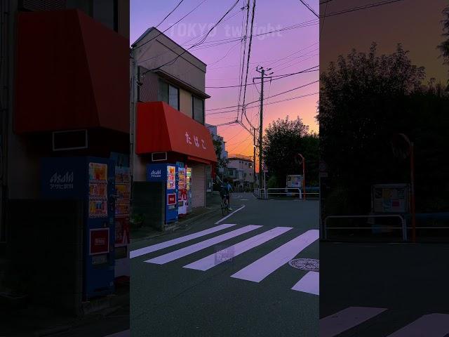 Tokyo twilight #aesthetic #vibe #vibes #peaceful #calm #tokyo #japan #日本 #dusk #travel #foryou