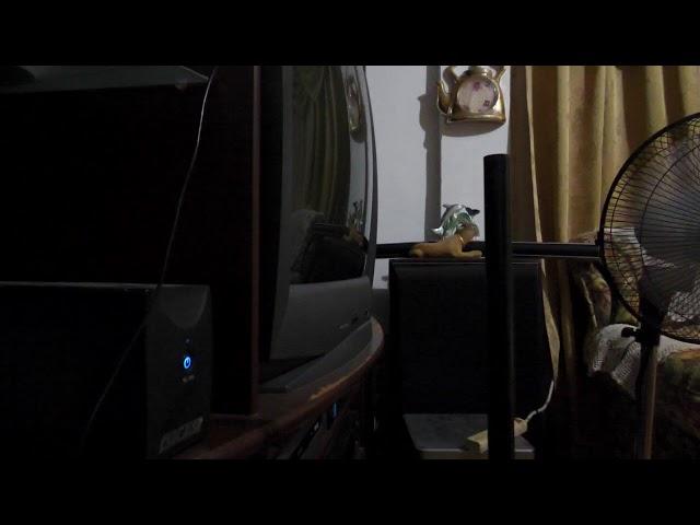 Pancho Production Live Stream