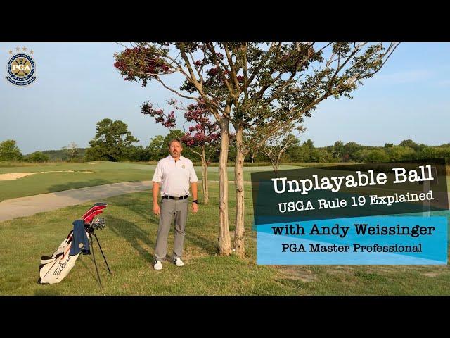 Unplayable Ball - USGA Rule 19 Explained